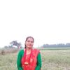 kopila.niraula
