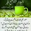 nazir.fatemh