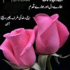 armanbaloch531