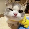 aaylo5