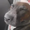 kiri_r0se