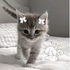 sweety_cypaa