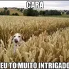 ysgsusgsmxgsoshsn