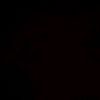 user31360685812975