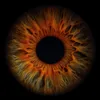u7ilisa7eur_introuvable