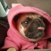 milo.j_198