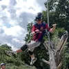 toby_scoots7