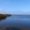 simon_1101