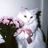 hn_741
