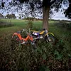 phil.iprnr2011