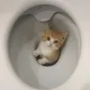 fyctyctuc