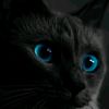 mouhamed.mouhamed1510
