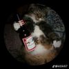 _editzzl