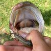 fishingiscrazy13