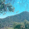 kurdesta.kurdi