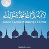 user303228870