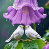 user81057613576125