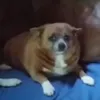 manlikeoscar7