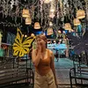 iambabyjane_06