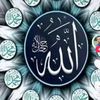 user4310304755432