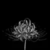 bruh_fr27