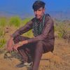 wajidalijanisk
