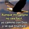 user312026108