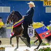 Caballoscolombianos