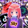 sky_peti2012