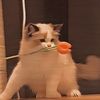 gmmtv_9626
