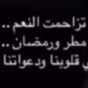 user4251496703983