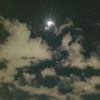 nexu_30