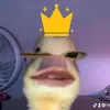 mat_cha_lateee