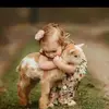 mariyam.yasir7