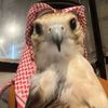 m_4liy