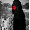 sojib.hossain6259
