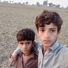 gul.bahar395