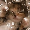 nur.aulia8248