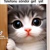 ureyiyarali5