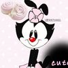 xikeydoll