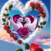 user41712129820427