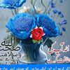ghussain431