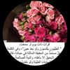 user2z038xvoqp1