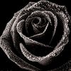 umut_errrrs1