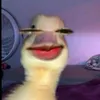 cvysoncatiwensjb