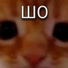 ilyxxa04