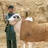 umair.khan.805