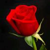 user27306083256222