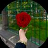 maherraheel8