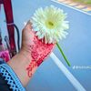 soniya.akthar.suh